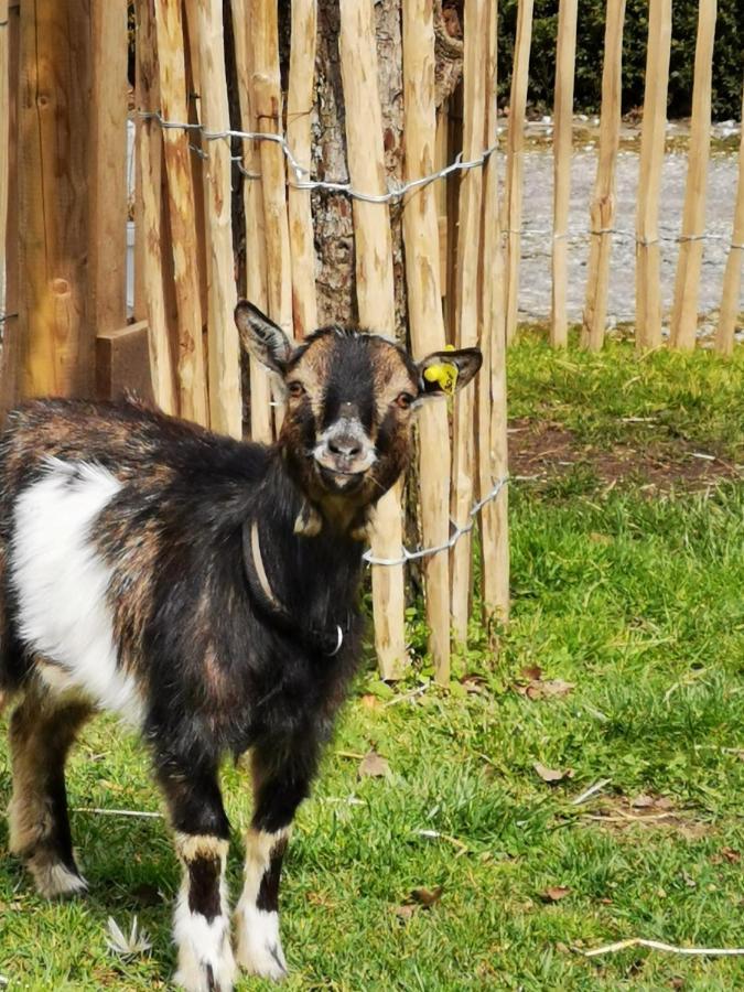 Heeser Hof - Urlaub Im Gruenen Weeze Kültér fotó