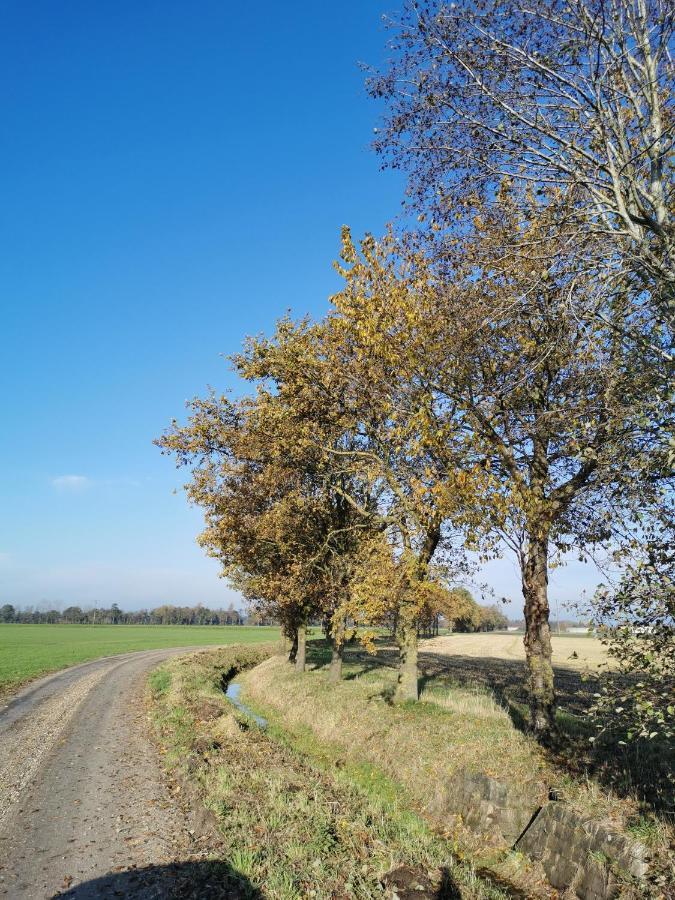 Heeser Hof - Urlaub Im Gruenen Weeze Kültér fotó